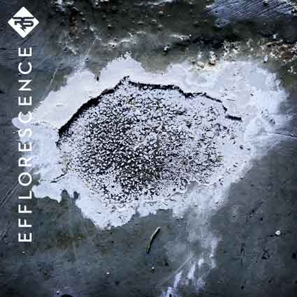 Efflorescence purge on garage slab