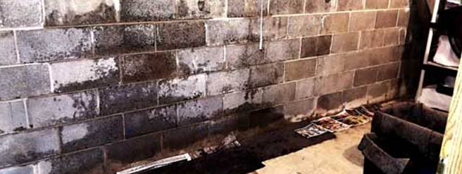 Make Your Wet Basement Dry Diy Repair Guide Radonseal - How To Repair A Leaking Cinder Block Basement Wall