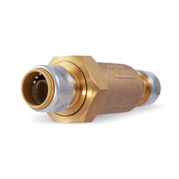 Dual Check Valve