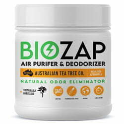 BioZap Air Purifier & Deodorizer for musty basement odors.
