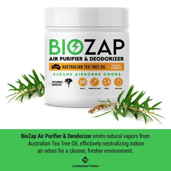BioZap Air Purifier & Deodorizer