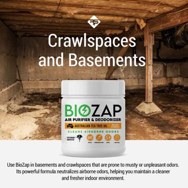 BioZap Air Purifier & Deodorizer