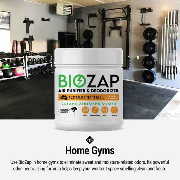 BioZap Air Purifier & Deodorizer