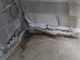 About-Efflorescence About Efflorescence