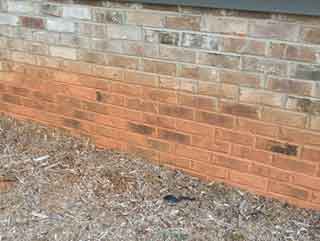 Prevent Red Clays Stains