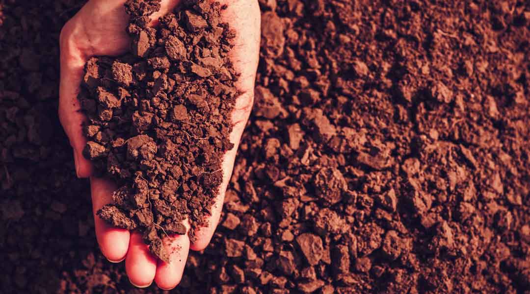Clay Soil Stains